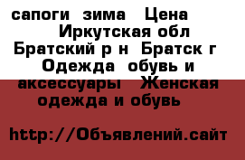 сапоги, зима › Цена ­ 4 500 - Иркутская обл., Братский р-н, Братск г. Одежда, обувь и аксессуары » Женская одежда и обувь   